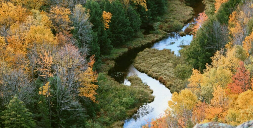 birds eye view of a winding river in Fall with changing tree colors